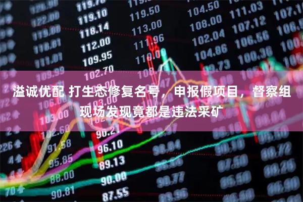 溢诚优配 打生态修复名号，申报假项目，督察组现场发现竟都是违法采矿